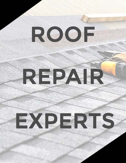 Armour Roofing and Exteriors Images